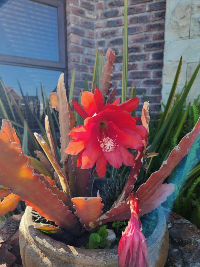The Wooden Leg Guesthouse Kleinmond Bagian luar foto